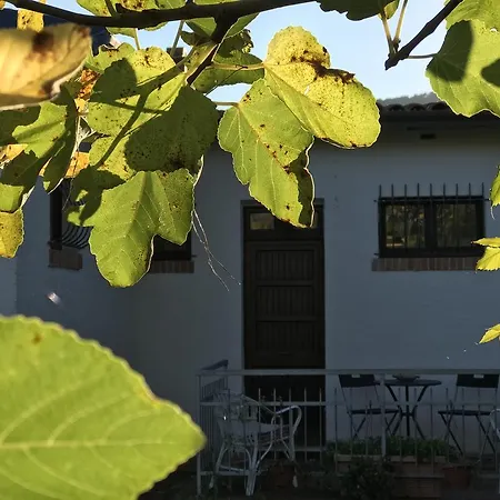 Filippi Διαμέρισμα